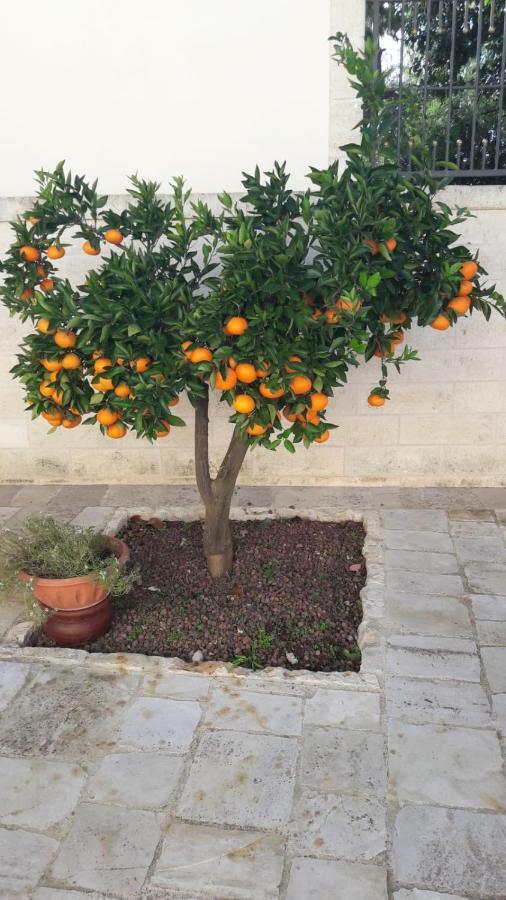 B&B Il Mulino Del Monastero Conversano Bagian luar foto